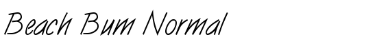 Beach Bum Normal - Download Thousands of Free Fonts at FontZone.net