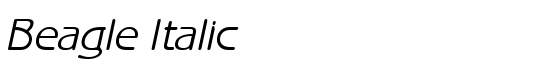 Beagle Italic - Download Thousands of Free Fonts at FontZone.net