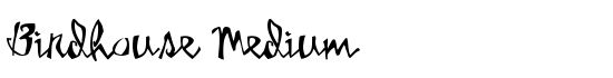 Birdhouse Medium - Download Thousands of Free Fonts at FontZone.net