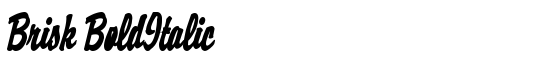 Brisk BoldItalic - Download Thousands of Free Fonts at FontZone.net