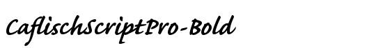 CaflischScriptPro-Bold - Download Thousands of Free Fonts at FontZone.net