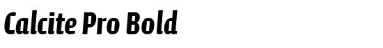 Calcite Pro Bold - Download Thousands of Free Fonts at FontZone.net