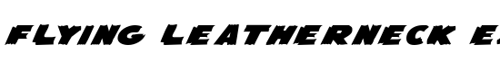 Flying Leatherneck Expanded - Download Thousands of Free Fonts at FontZone.net