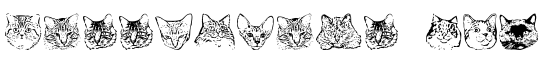 KittyPrint AOE - Download Thousands of Free Fonts at FontZone.net