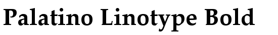 Palatino Linotype Bold - Download Thousands of Free Fonts at FontZone.net