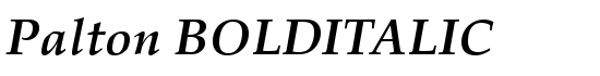 Palton BOLDITALIC - Download Thousands of Free Fonts at FontZone.net