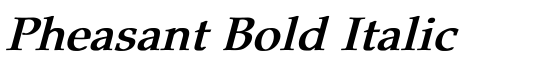 Pheasant Bold Italic - Download Thousands of Free Fonts at FontZone.net