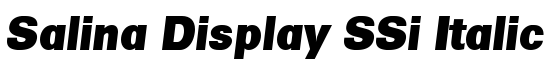 Salina Display SSi Italic - Download Thousands of Free Fonts at FontZone.net