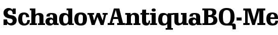 SchadowAntiquaBQ-Medium - Download Thousands of Free Fonts at FontZone.net