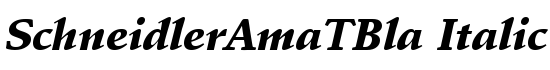 SchneidlerAmaTBla Italic - Download Thousands of Free Fonts at FontZone.net