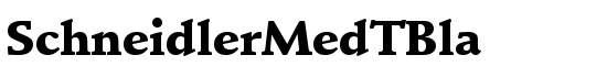 SchneidlerMedTBla - Download Thousands of Free Fonts at FontZone.net