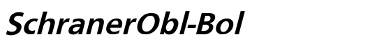 SchranerObl-Bol - Download Thousands of Free Fonts at FontZone.net
