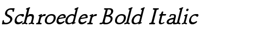 Schroeder Bold Italic - Download Thousands of Free Fonts at FontZone.net