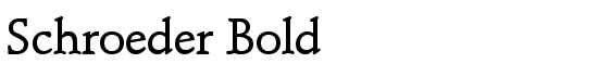 Schroeder Bold - Download Thousands of Free Fonts at FontZone.net