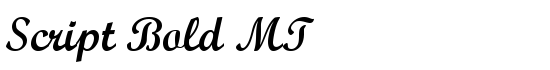 Download Script Bold MT Font - Thousands of fonts to download for free