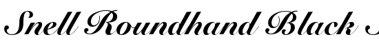 Snell Roundhand Black Script - Download Thousands of Free Fonts at FontZone.net