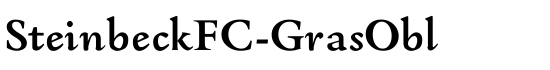 SteinbeckFC-GrasObl - Download Thousands of Free Fonts at FontZone.net