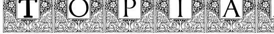 Topiary_Initials - Download Thousands of Free Fonts at FontZone.net