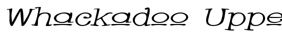 Whackadoo Upper Wide Italic - Download Thousands of Free Fonts at FontZone.net